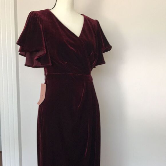 BHLDN Dover  Velvet Dress size 4 - Picture 16 of 16